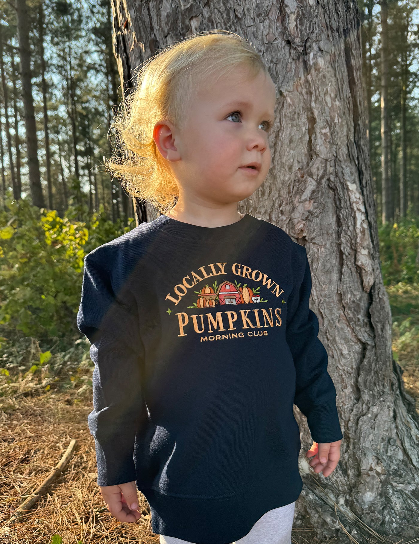 PumpkinsNavyChildrensSweatshirt.jpg